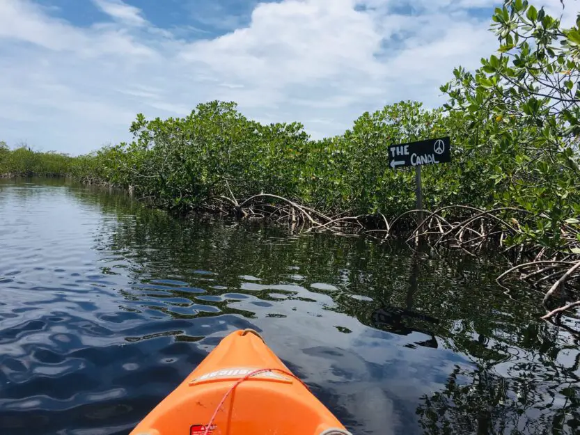 Kayak the Mangrove Canal on Utila
