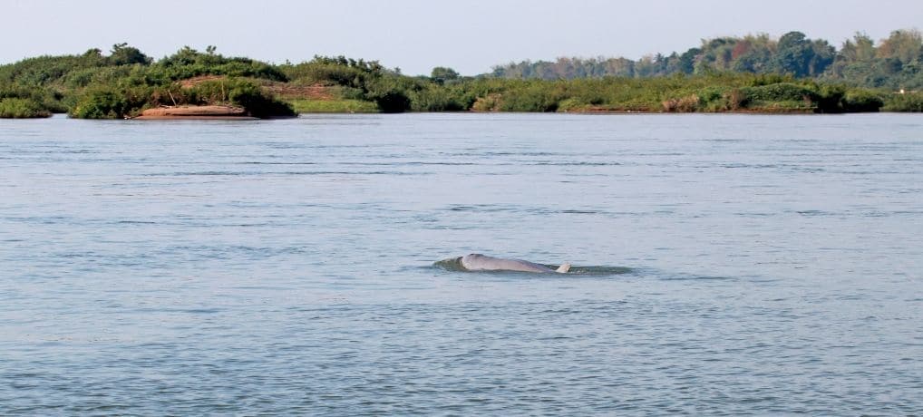 Kratie Cambodia