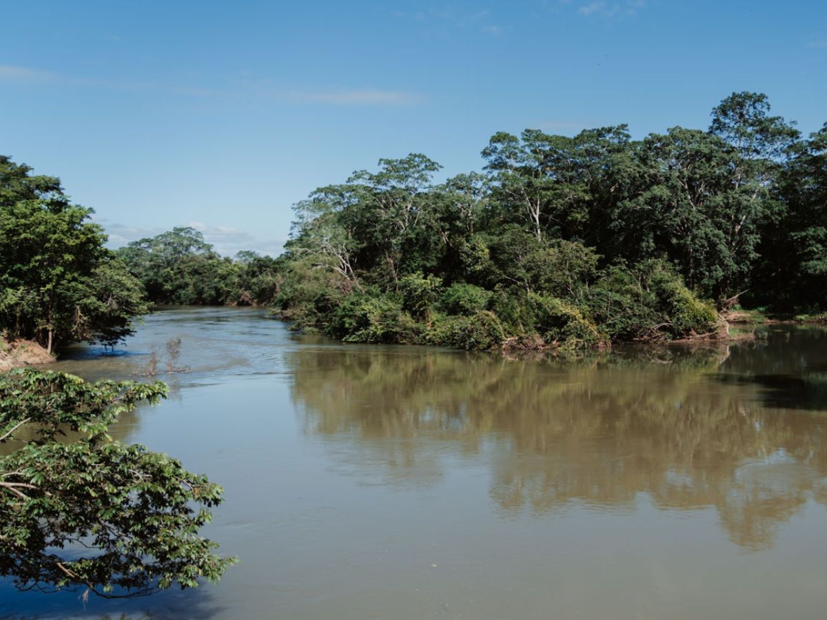 Macal River in San Ignaciao Belize. Banks lined with green jungle