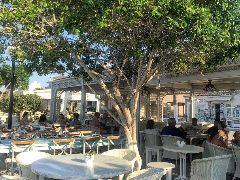 Maria's Taverna in Erminoi, white chairs and tables outside under a green tree. 