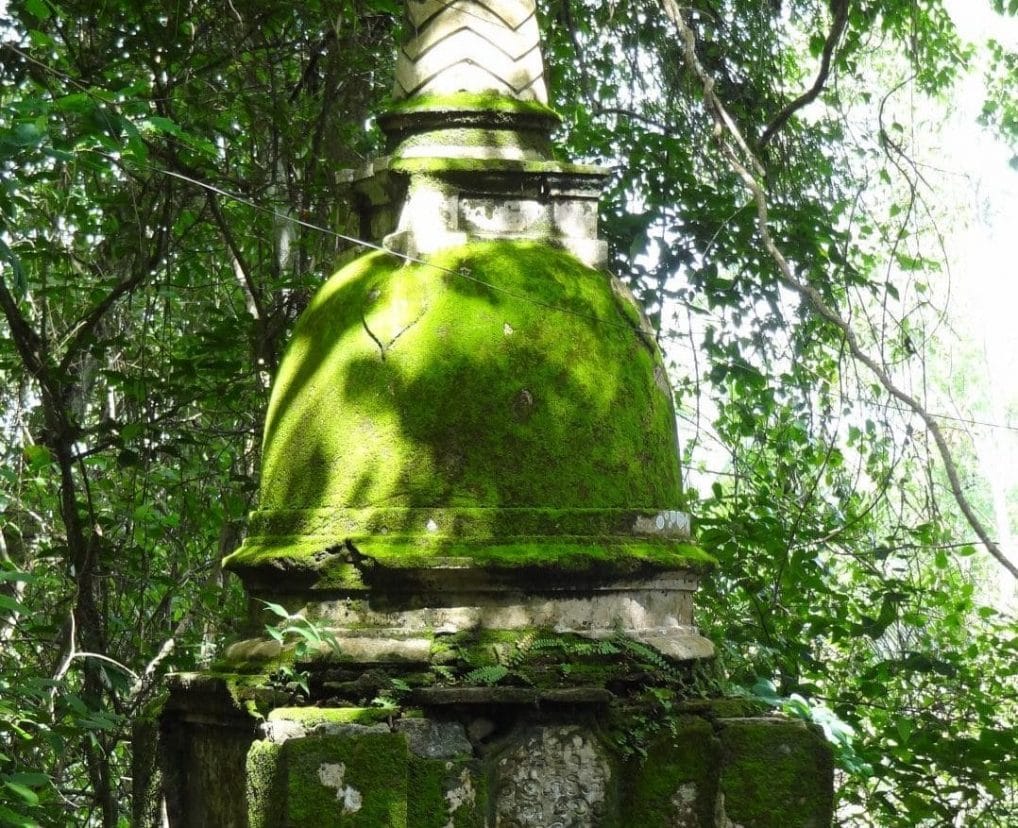 Mulkirigala Moss Covered Stupa