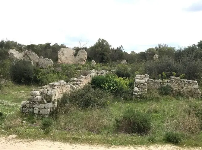 Ruins at Noto Antica in Sicily.