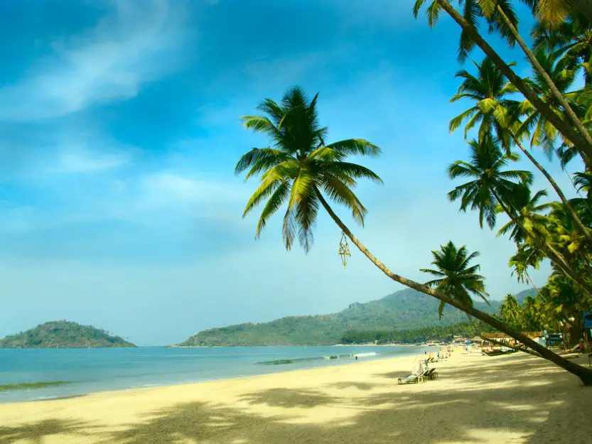 Palm trees and sand on Palolem Beach in South Goa, India