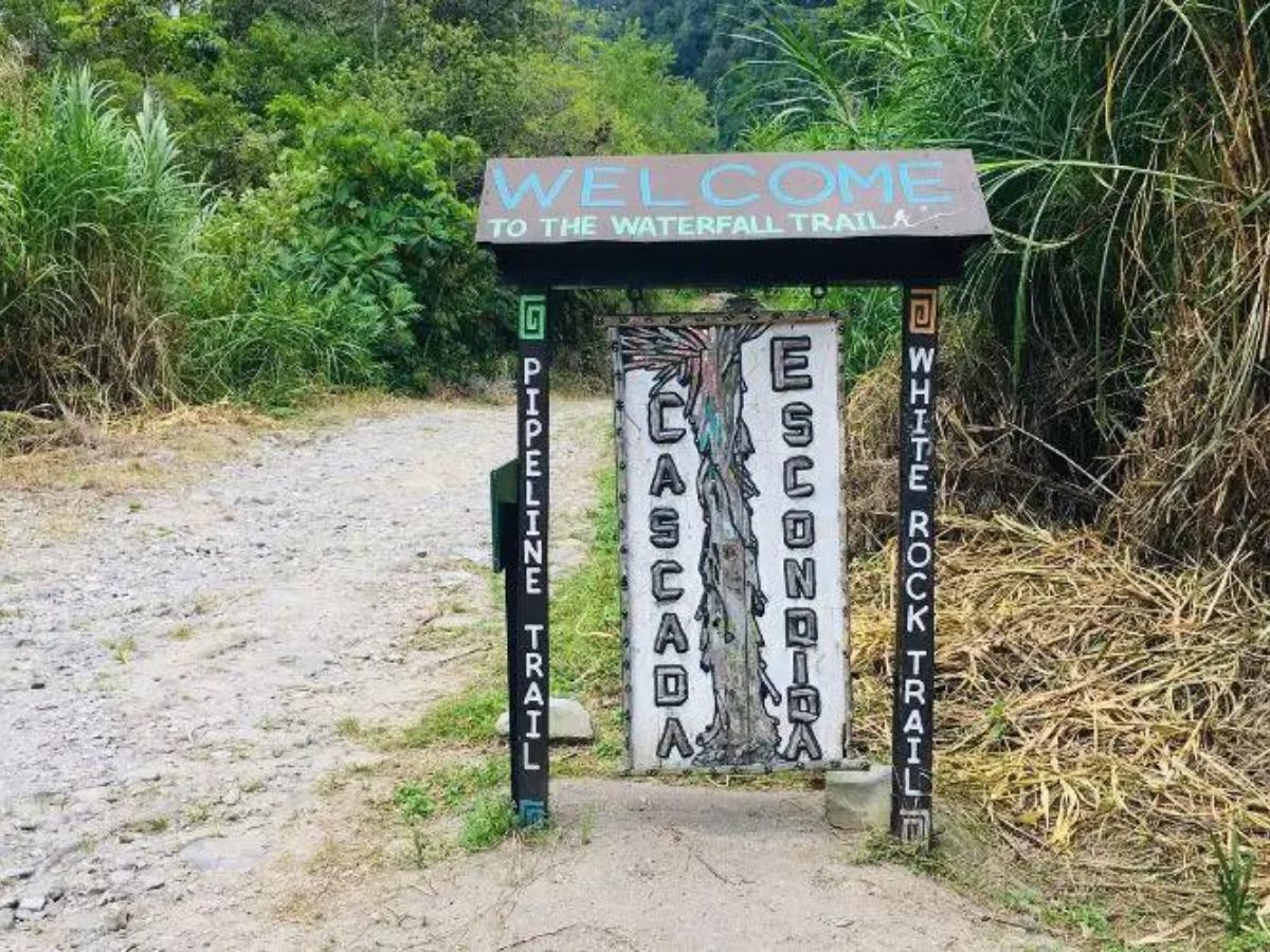 Pipeline Trail sign in Boquete. Sign is in the foreground with green rainforest in the background on a rough dirt trail.