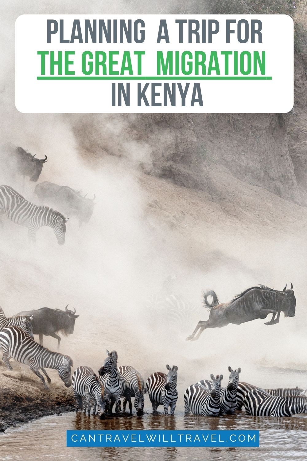 Planning a Trip For The Great Migration in Kenya