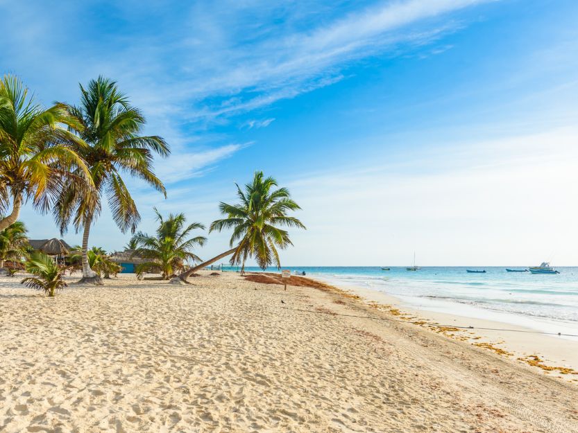 Playa Paraiso, beautiful white sand beach in Tulum in Mexico. Palm trees growing from the sand on the left and blue sea on the right with a few boats dotted about.