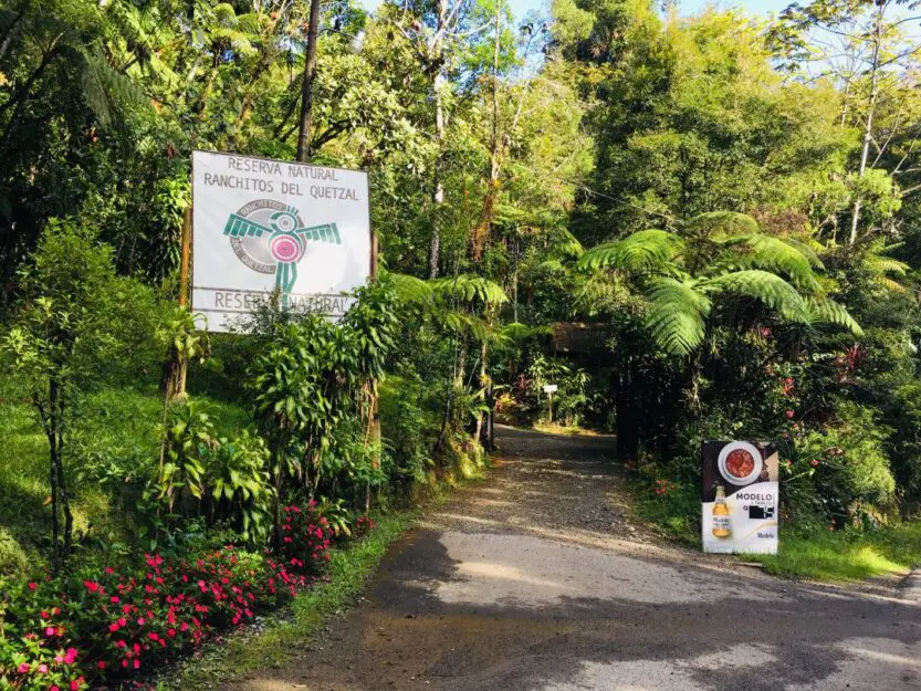 Entrance to Ranchitos del Quetzal, path lined with green trees, plants and colourful flowers.