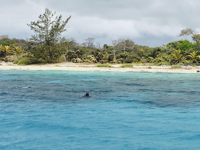 Snorkelling on Utila in Honduras