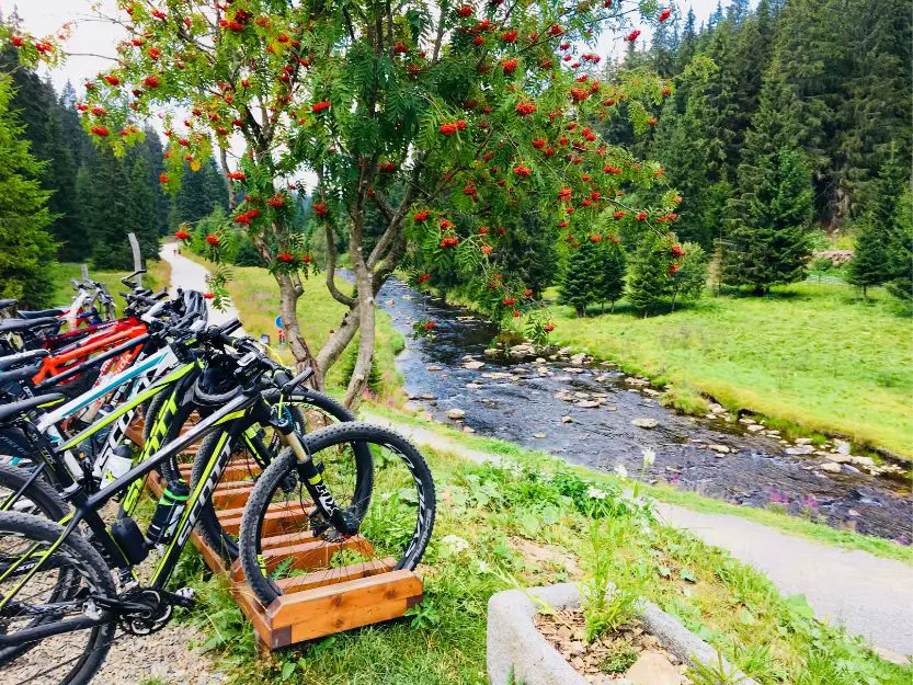 Sumava National Park by Electro Bike and Foot, Czech Republic
