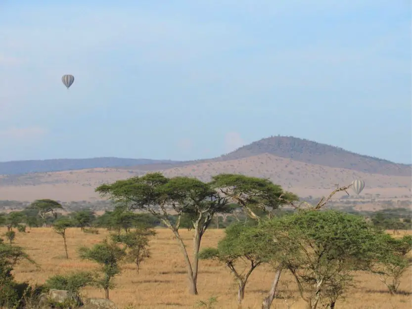 Tanzanian vista with two hot air balloons