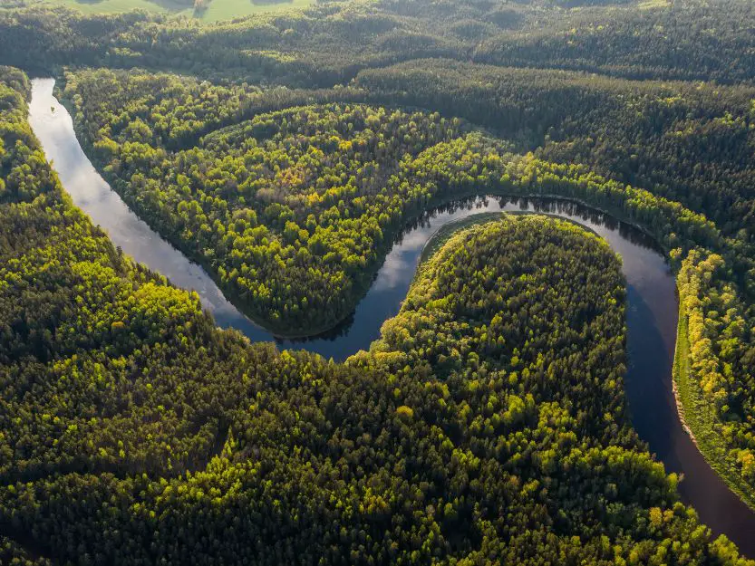Aerial view of the Amazon River and Rainforest