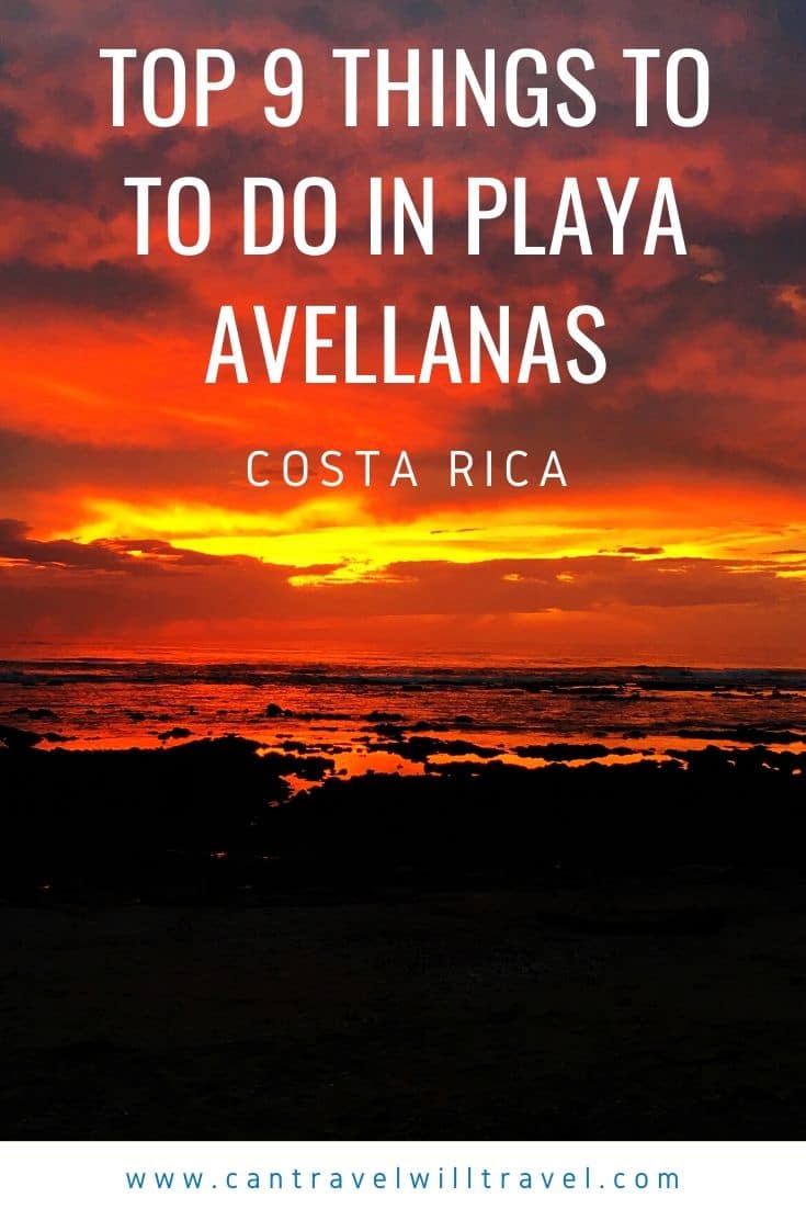 Top 9 Things to Do in Playa Avellanas in Costa Rica