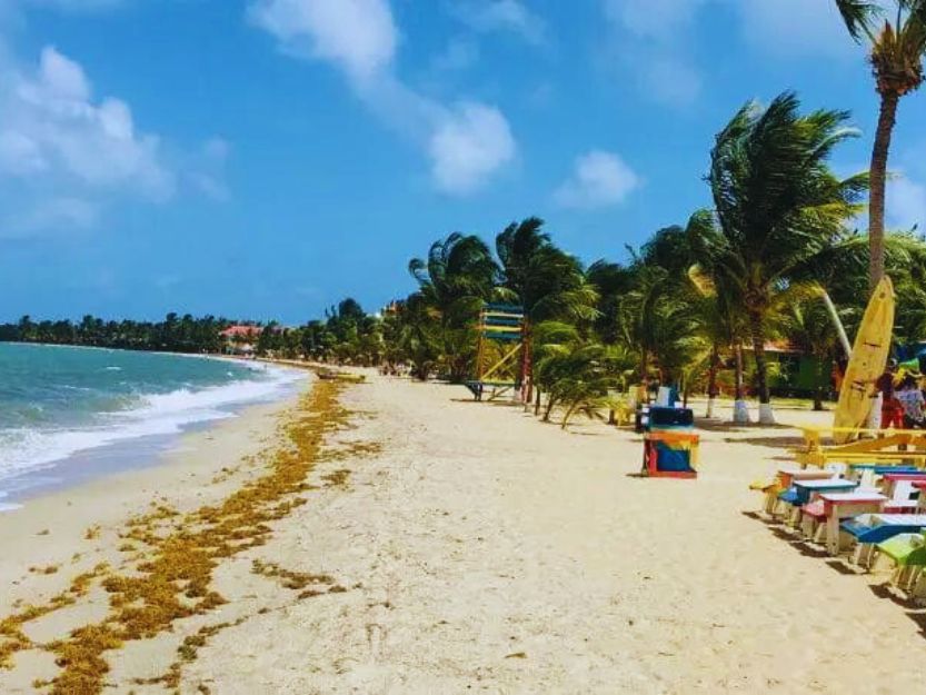 Things to Do in Placencia in Belize. Colourful chairs on a yellow sand beach on the right. Palm trees and blue sky in the background.