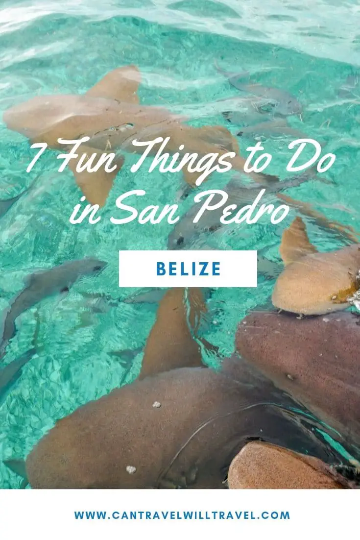 7 Fun Things to Do in San Pedro Belize Pin3
