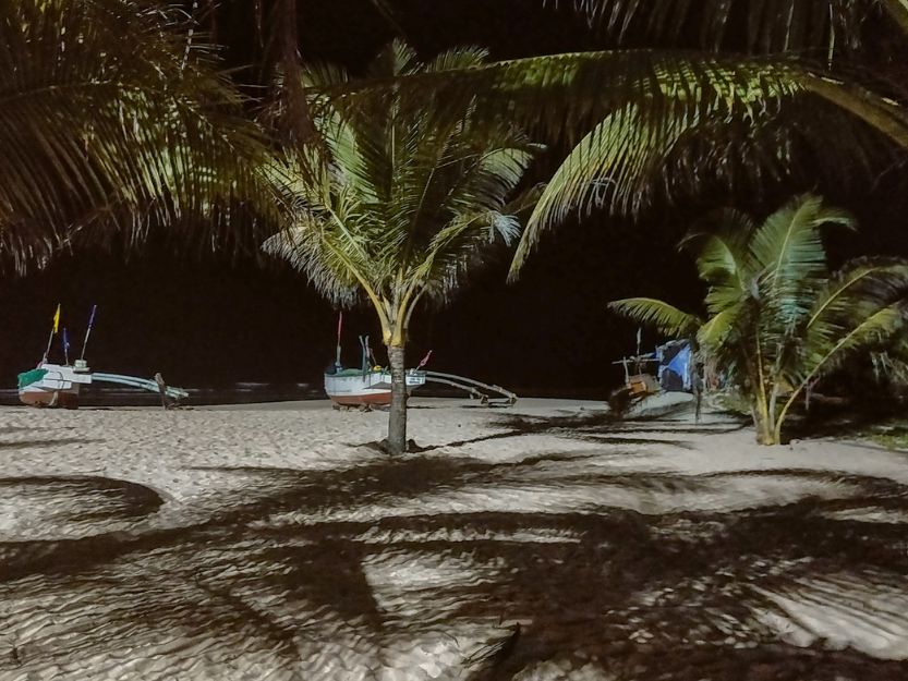 Utorda Beach in South Goa. Palm trees and fishing boats on the beach at night.