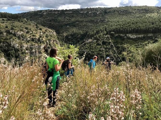 Four people hiking through wildflowers in Valle dell'Anapao (Anapo Valley) in Pantalica nature Reserve