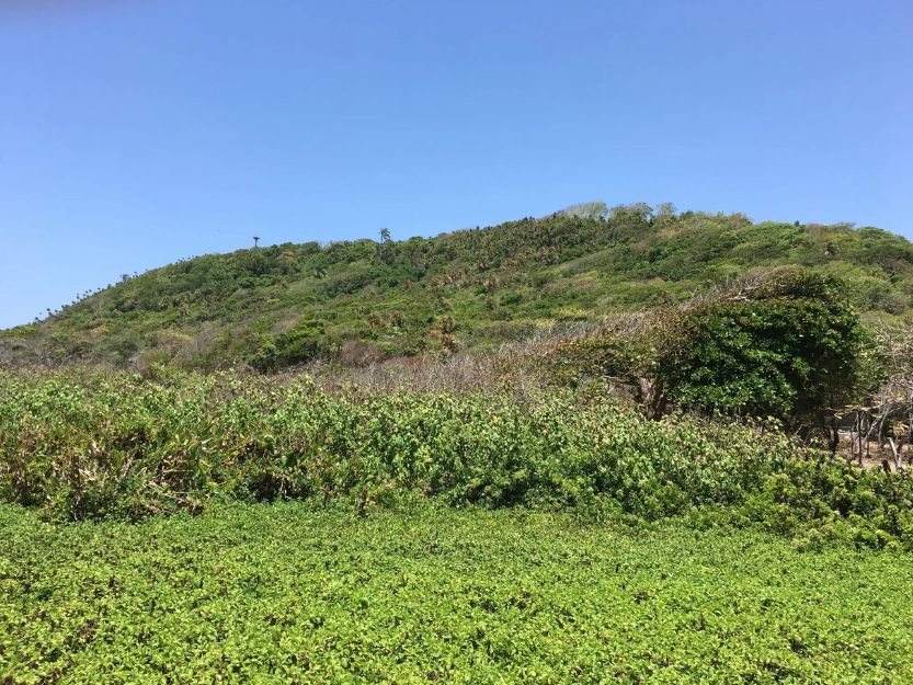 Pumpkin Hill on Utila in Honduras. Hoill covered in green vegetation under a blue sky