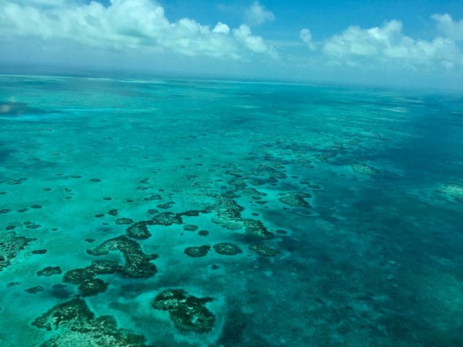 View from Tropic Air Plane of coral reef.