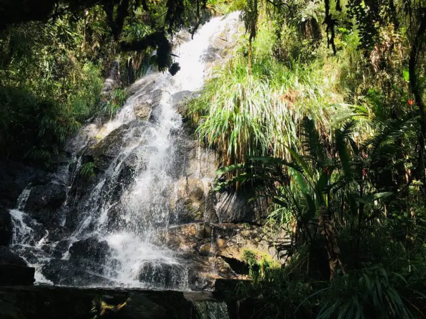 Waterfall in Biotopo del Quetzal