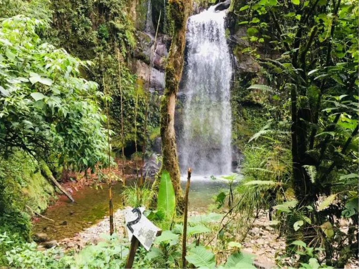 Waterfall two on the lost waterfall trek. Tall thin waterfall over rocks with green vegetation each side