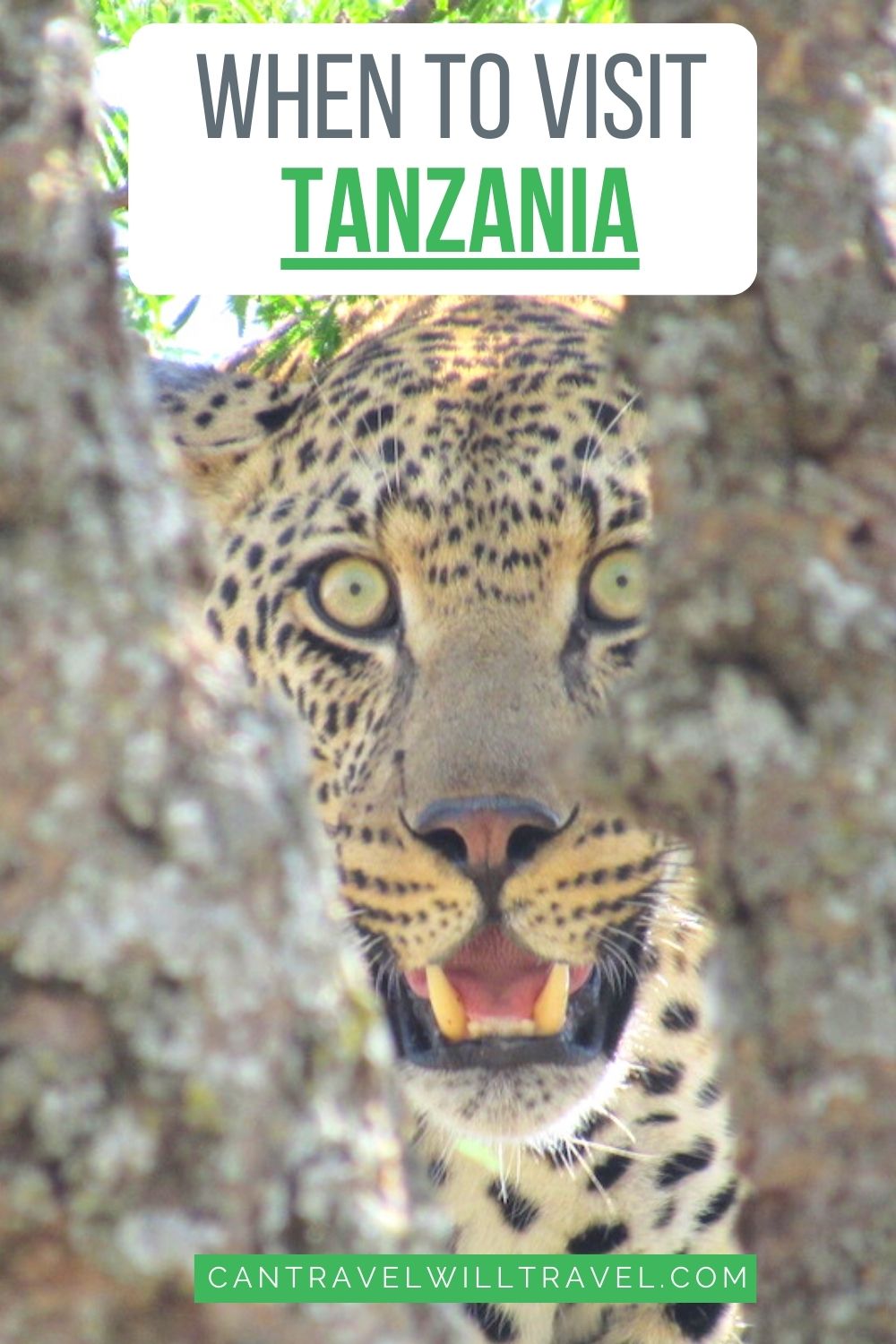 When to Visit Tanzania in Africa