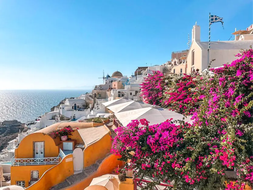 White houses with pink bougainvillea in Oia on Santorini
